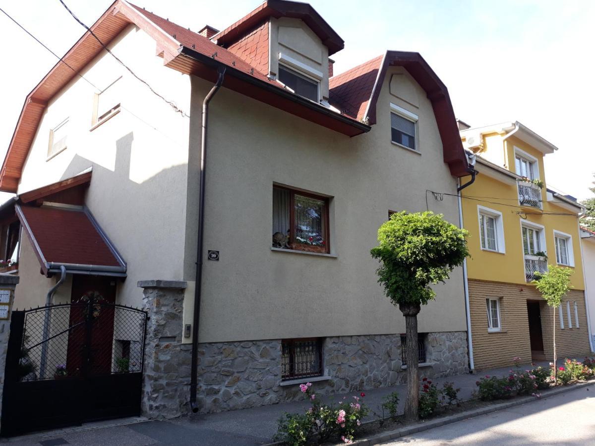 Flamingo Apartman Sopron Luaran gambar